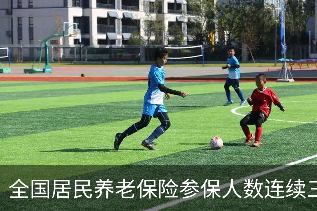 全国居民养老保险参保人数连续三年减少