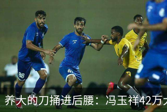 养大的刀捅进后腰：冯玉祥42万大军散伙那天，他才看清自己写的账本
