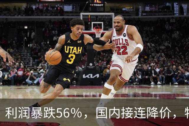 利润暴跌56％，国内接连降价，特斯拉的中国智驾何时兑现？