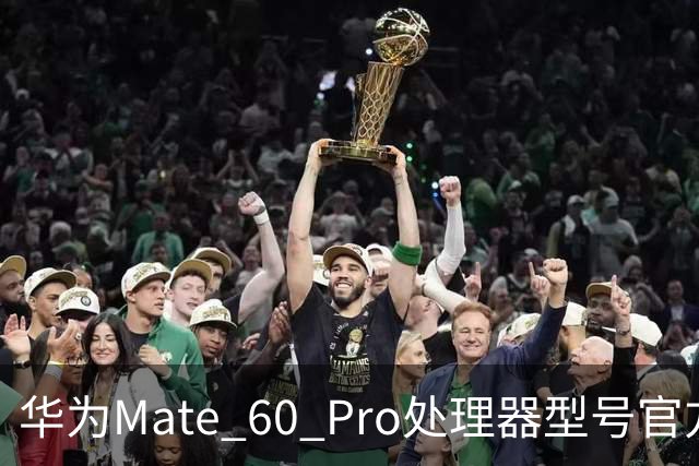 华为Mate 60 Pro处理器型号官方首次“揭秘”，搭载麒麟9000S与30、40、50、90“同台竞技”