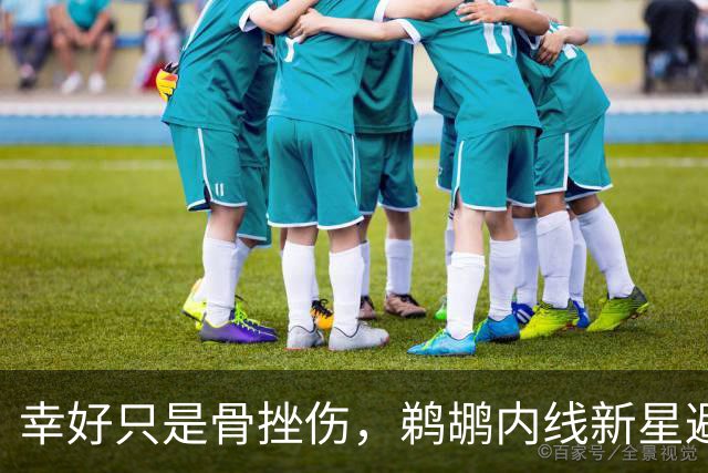 幸好只是骨挫伤，鹈鹕内线新星避免了重大伤病的发生？