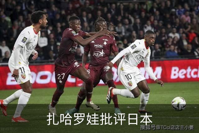 扎哈罗娃批评日本