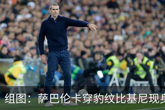 组图：萨巴伦卡穿豹纹比基尼现身海边 展示曼妙曲线