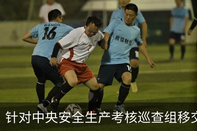 针对中央安全生产考核巡查组移交的问题隐患 四川从整改“一个问题”向“一类问题”延伸