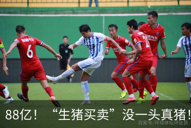 88亿！“生猪买卖”没一头真猪！空手套白狼，国企巨款全被挪走？