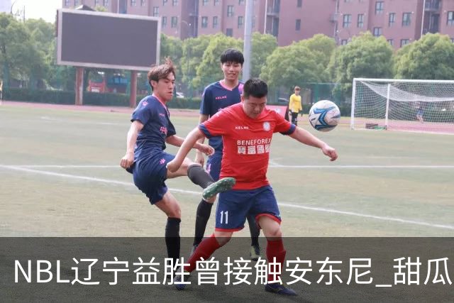 NBL辽宁益胜曾接触安东尼 甜瓜不想去海外打球
